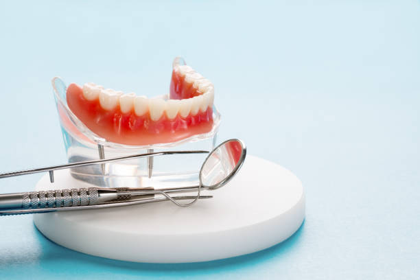  Erie, IL Holistic Dental Care Services Pros
